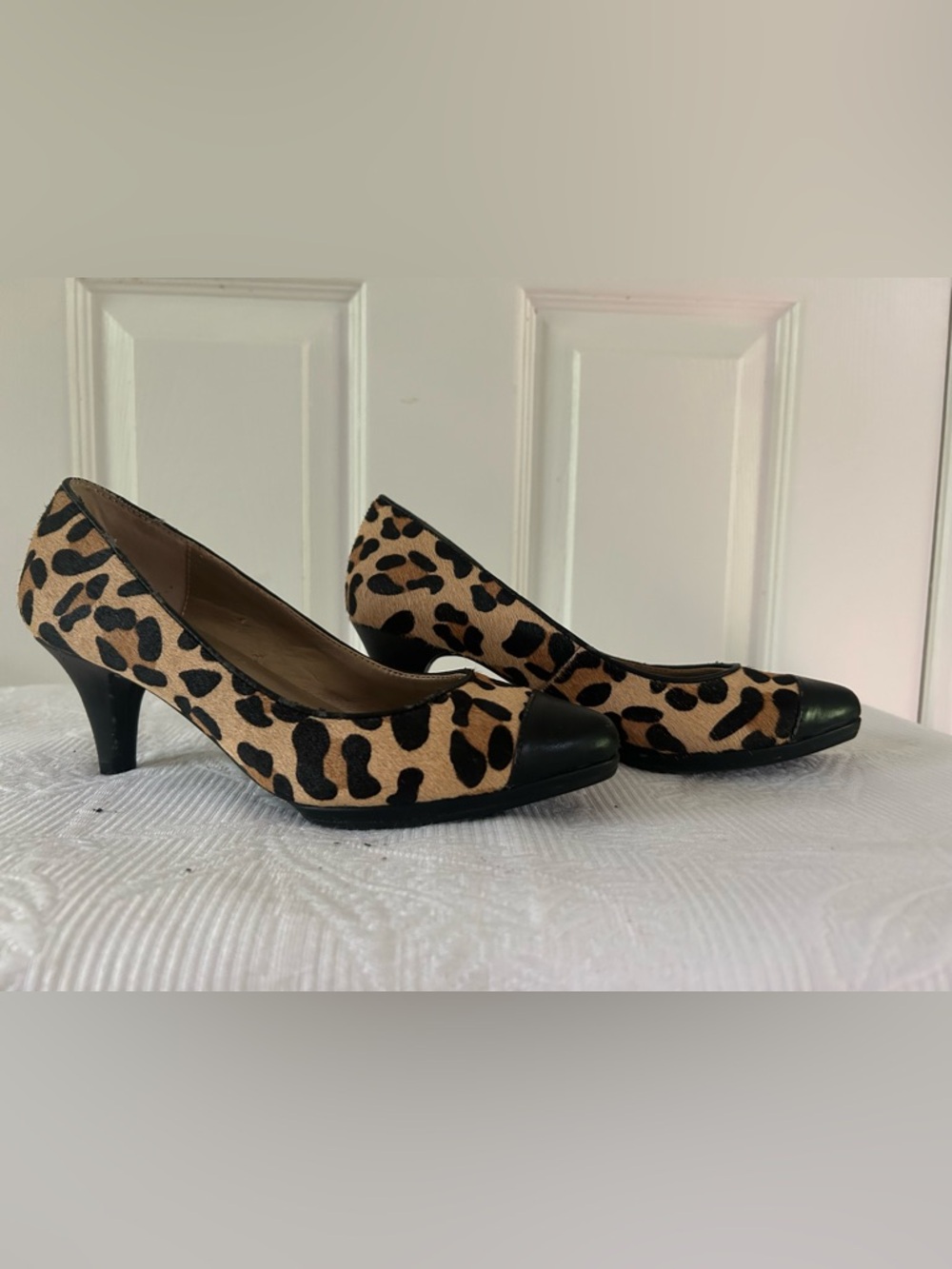 Leopard Print Mid Heel Pumps with Black Cap Toe